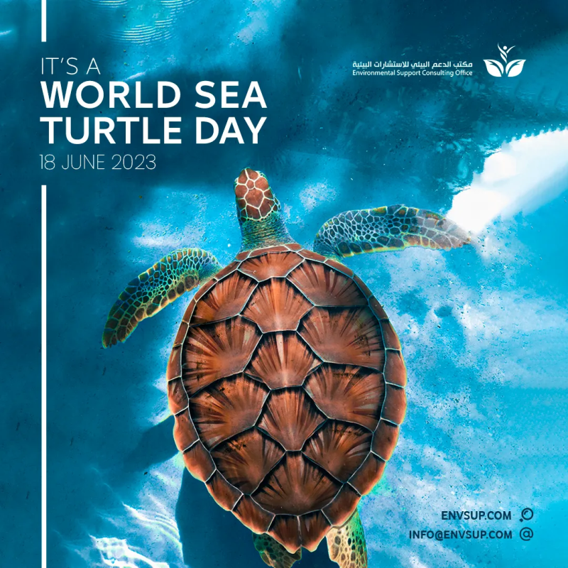 World Sea Turtle Day Design for Environmental Support Consulting Office (ESC)
