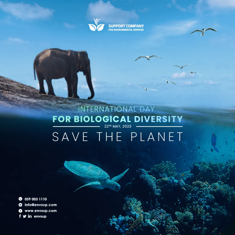 International Day for Biological Diversity Design for Environmental Support Consulting Office (ESC)