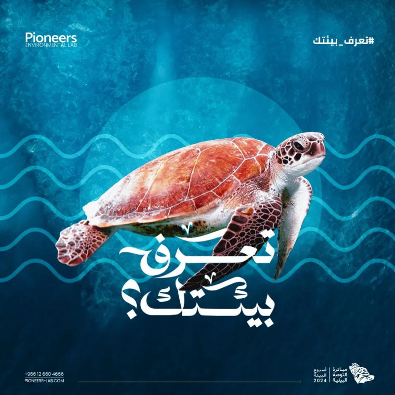 Pioneers Social Media Post