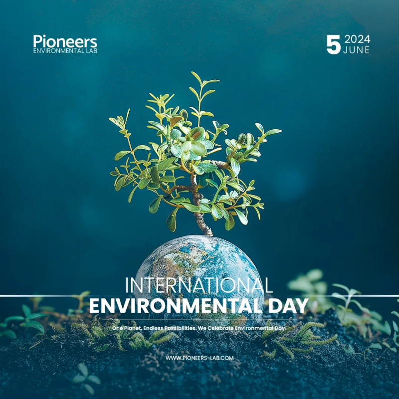 Pioneers Social Media Post