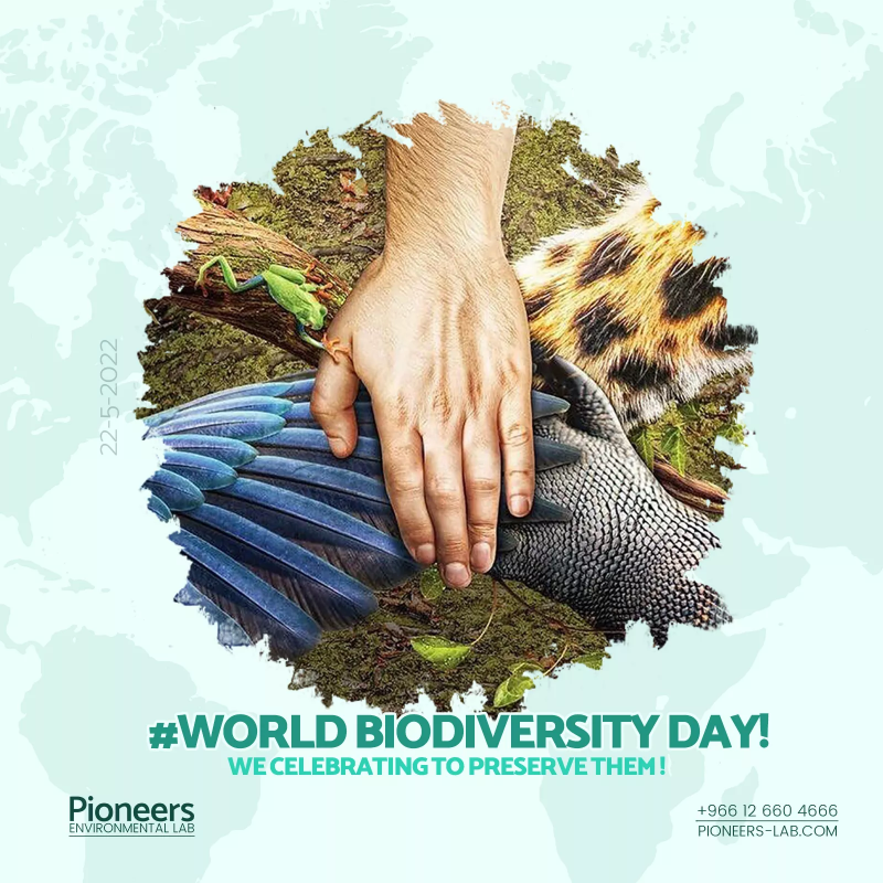 Pioneers Social Media Event Post