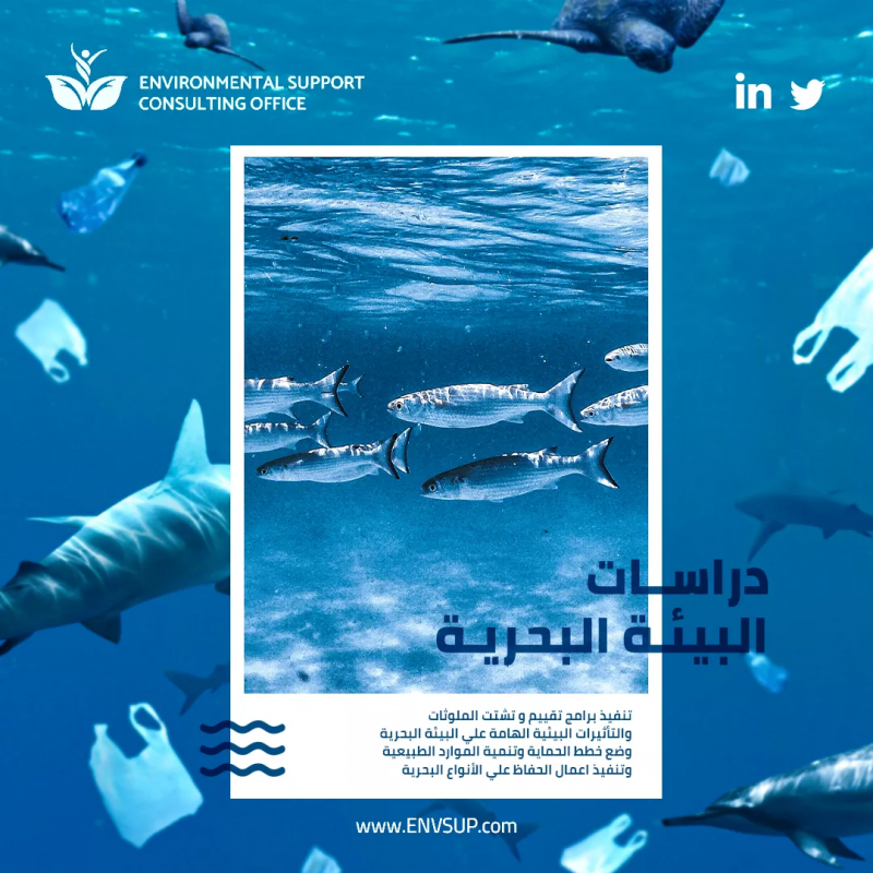 Marine Environmental Studies Campaign for Environmental Support Consulting Office (ESC)