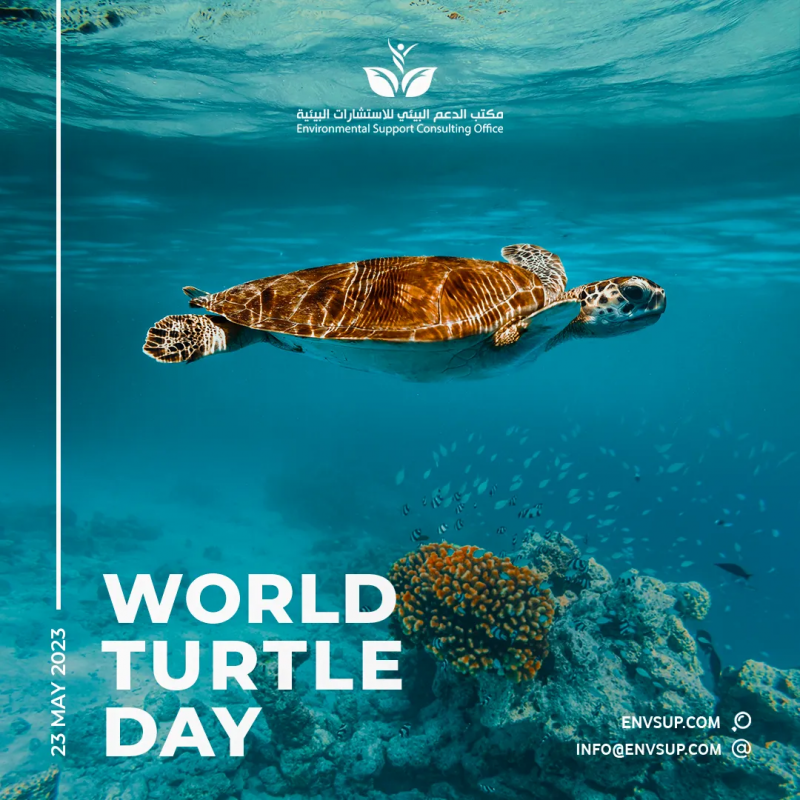 World Turtle Day Campaign for Environmental Support Consulting Office (ESC)